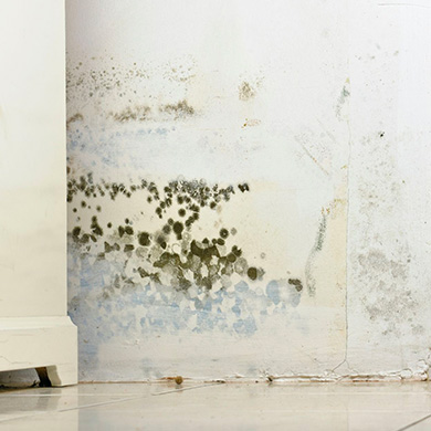 Traitement de l'humidité à Cabourg (14390) -  NORMANDIE HUMIDE dans les Calvados 14