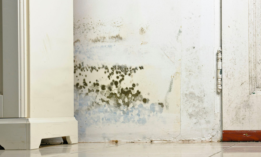 Injection de résine à Cabourg – NORMANDIE HUMIDE dans le Calvados (14)