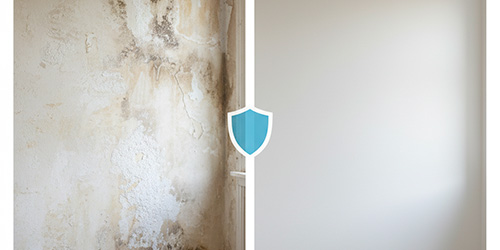 Traitement anti salpêtre à Cabourg (14390) dans le Calvados (14)